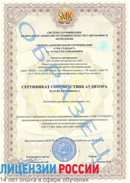 Образец сертификата соответствия аудитора №ST.RU.EXP.00006191-3 Зеленодольск Сертификат ISO 50001